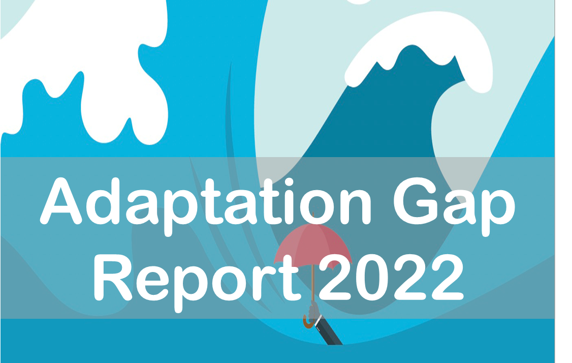 Adaptation Gap Report 2022 ENSURE IAS