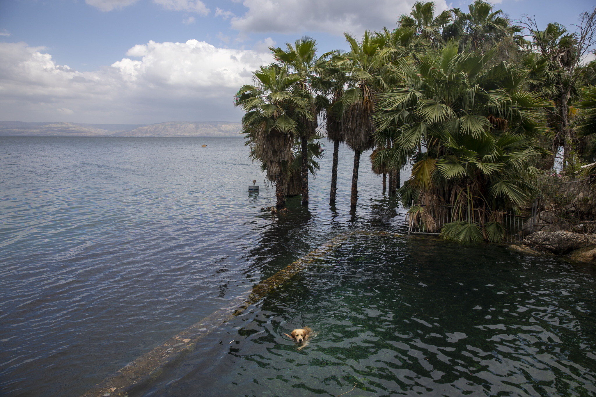 Sea of Galilee "EMPOWER IAS"