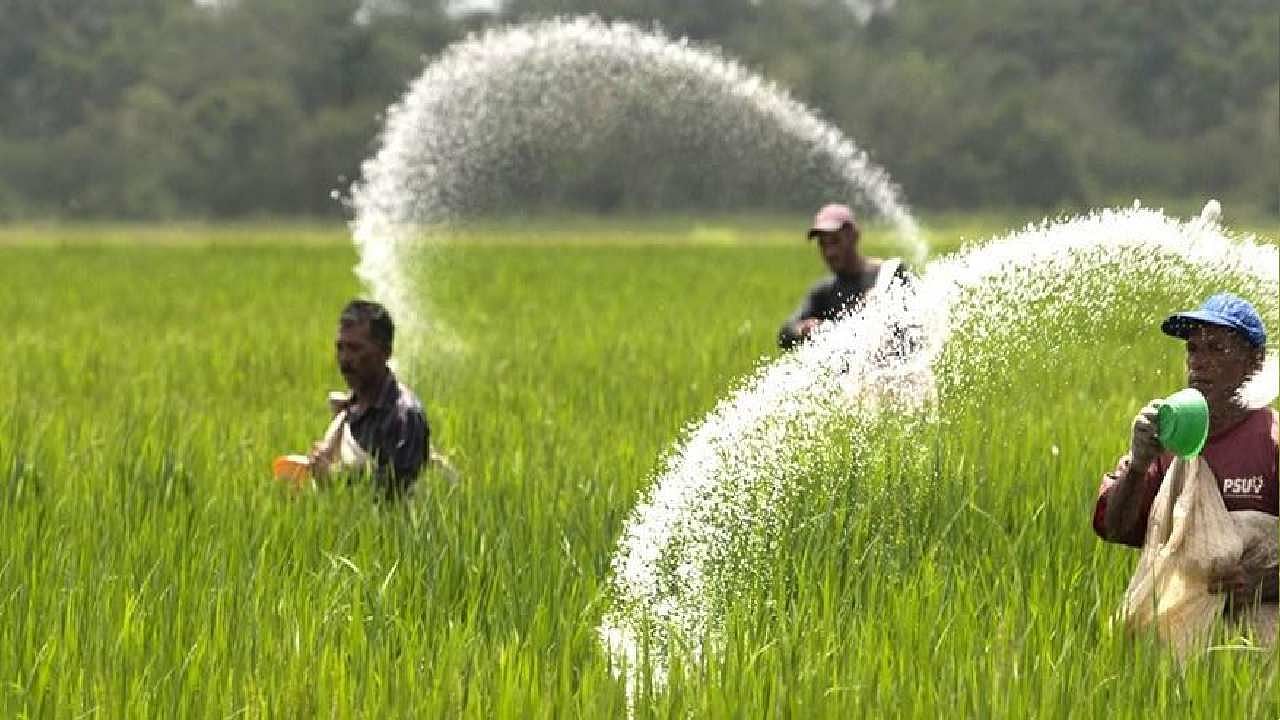 carbon policy for agriculture "EMPOWER IAS"