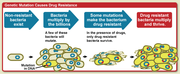 Bacteria develop multi-drug resistance "EMPOWER IAS"