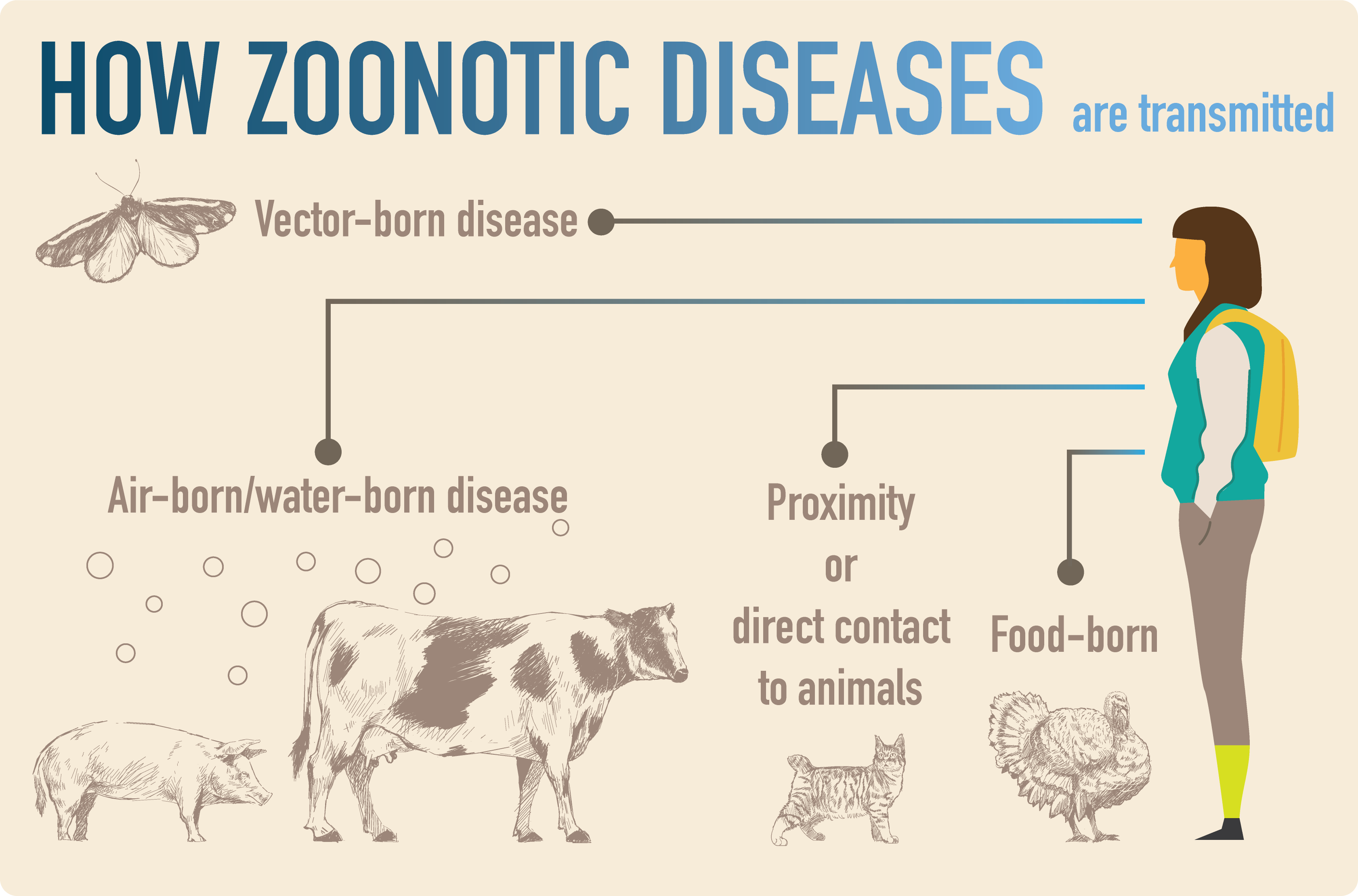 animal transmitted diseases