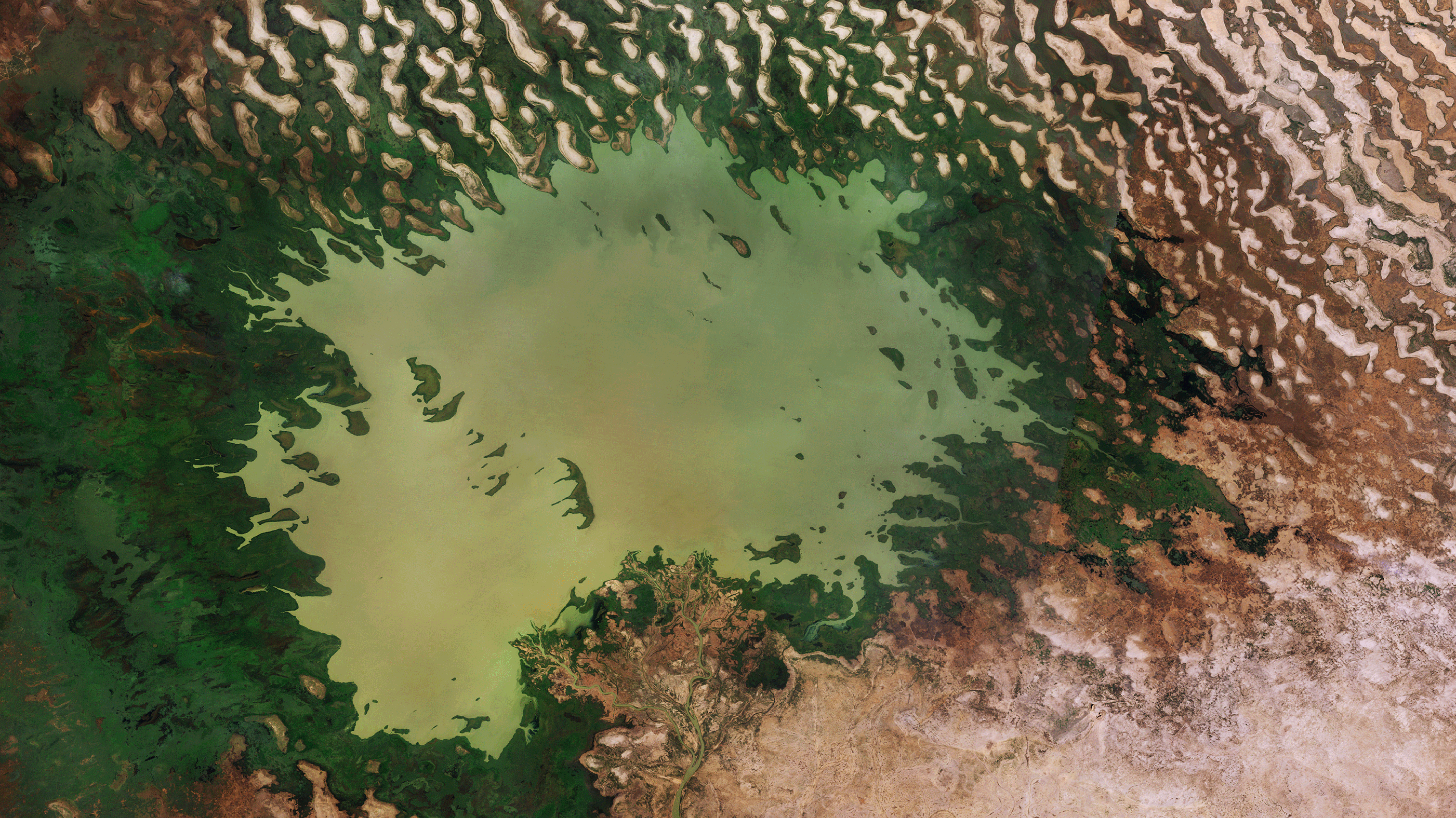 Lake Chad "EMPOWER IAS"