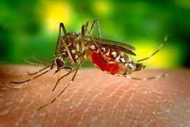 Malaria menace in India GS: 3 "EMPOWER IAS"