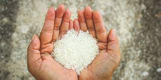 Rice fortification "EMPOWER IAS"