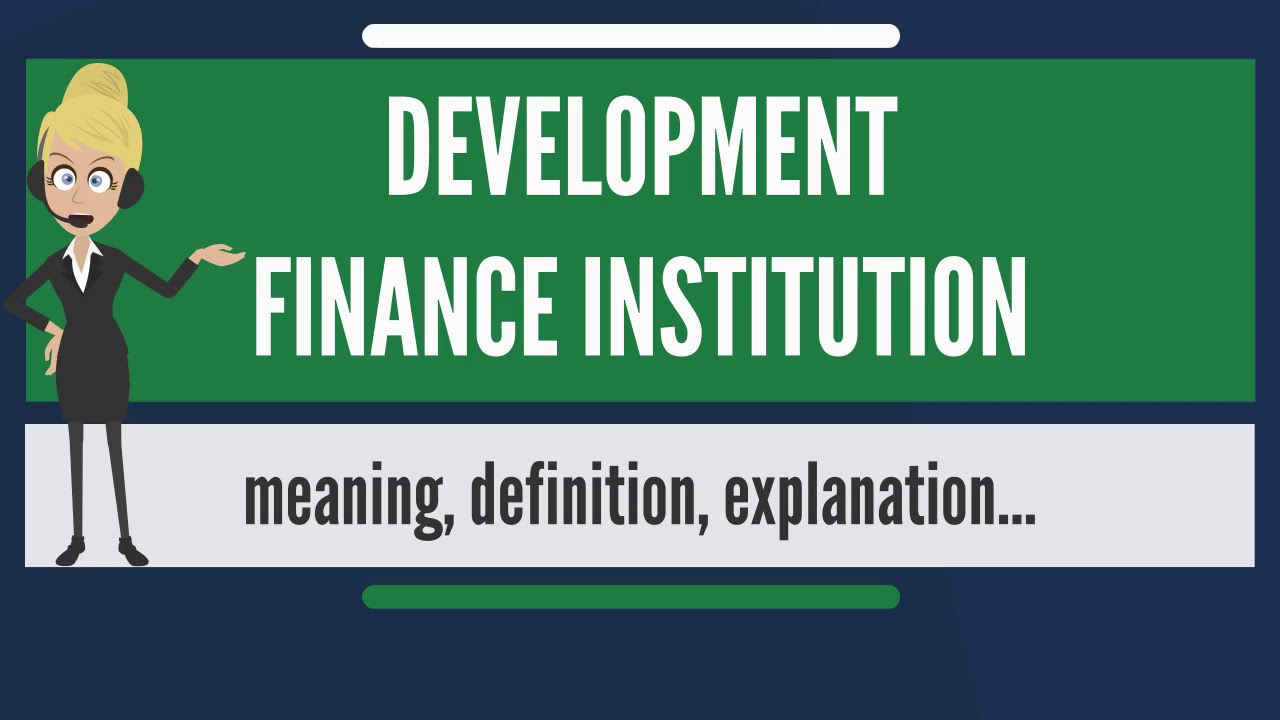 Development Finance Institution 