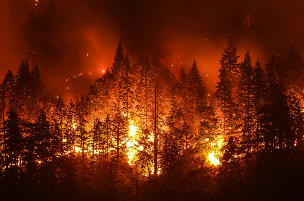 Forest fires and their prevention "EMPOWER IAS"