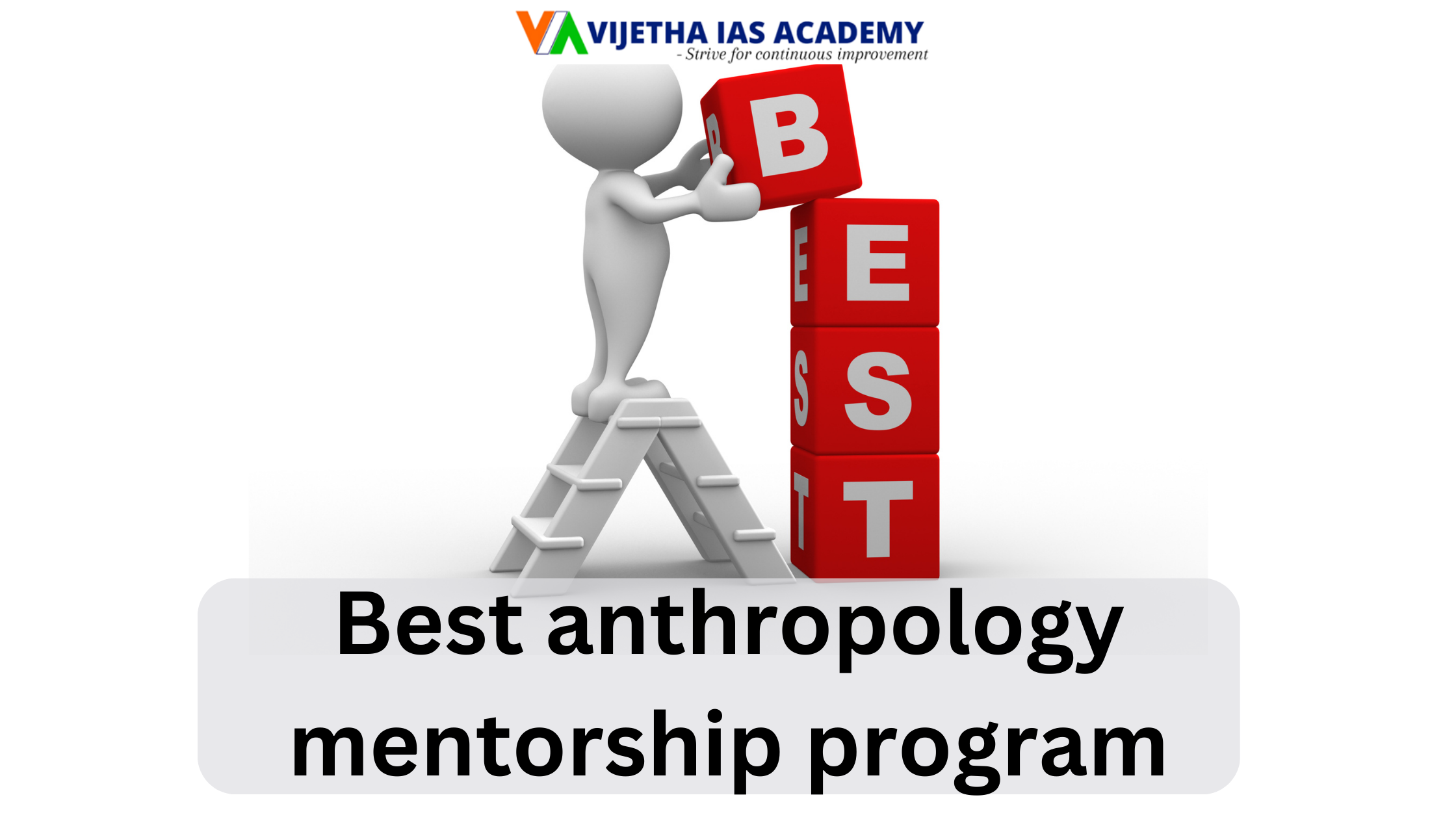 Best anthropology mentorship program