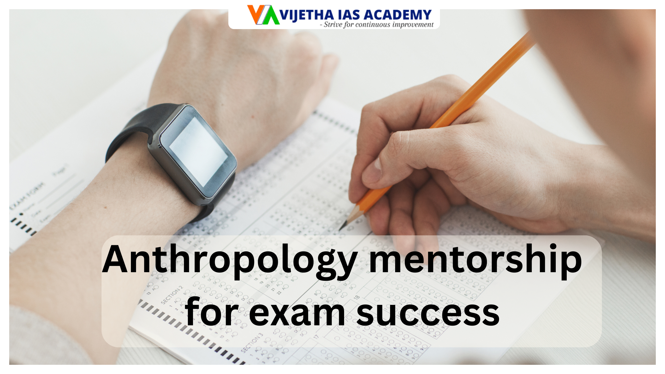 Anthropology mentorship for exam success