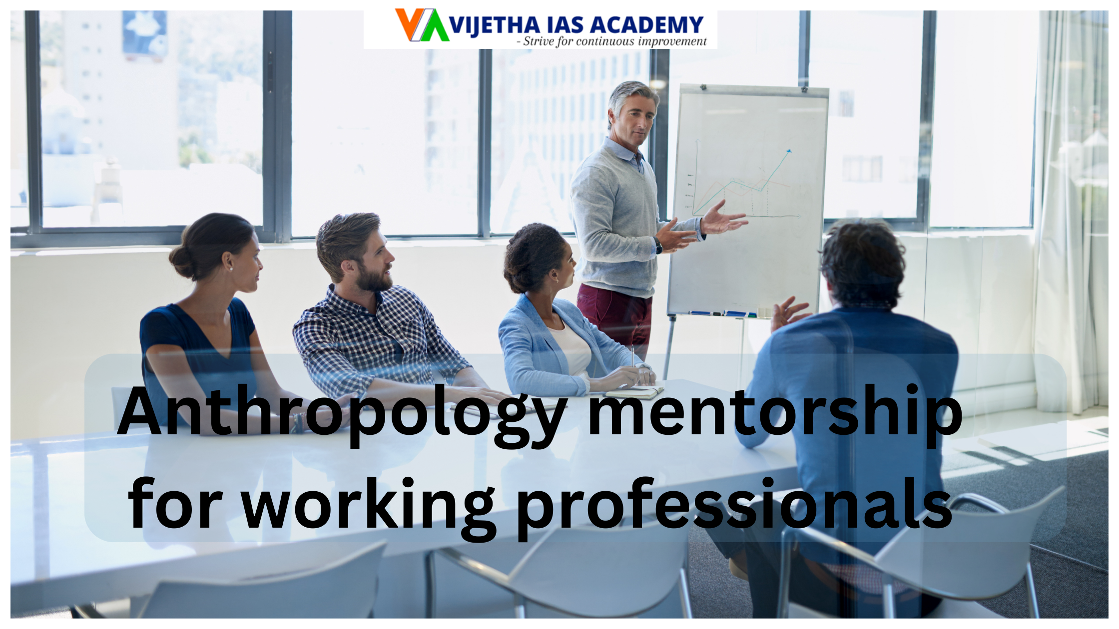 Anthropology mentorship for working professionals