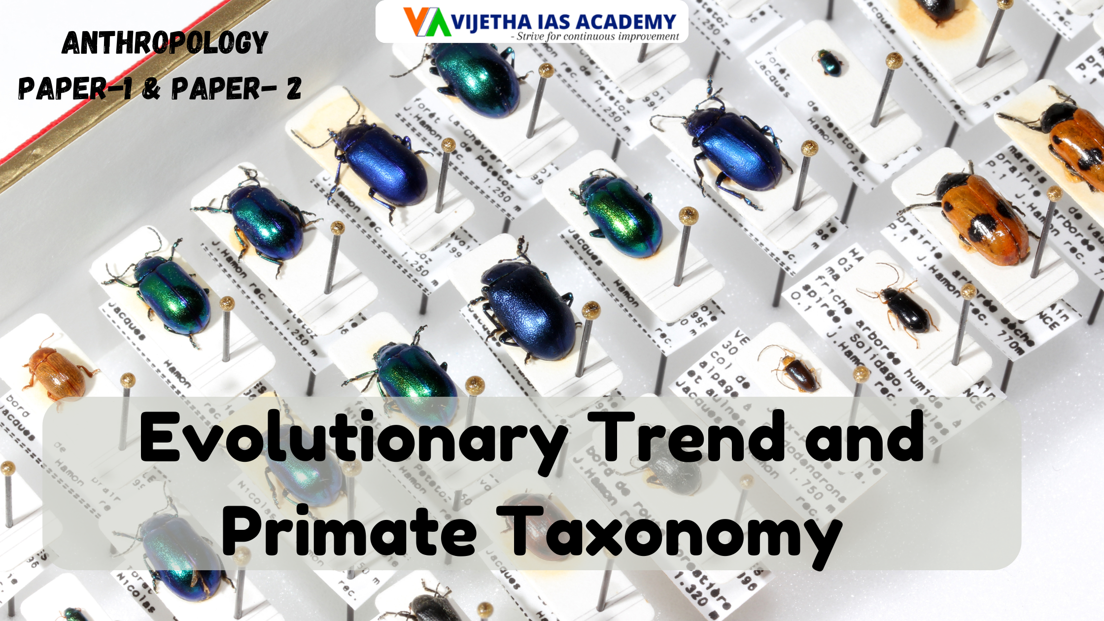 Evolutionary Trend and Primate Taxonomy? Explained for UPSC | Vijetha IAS Academy