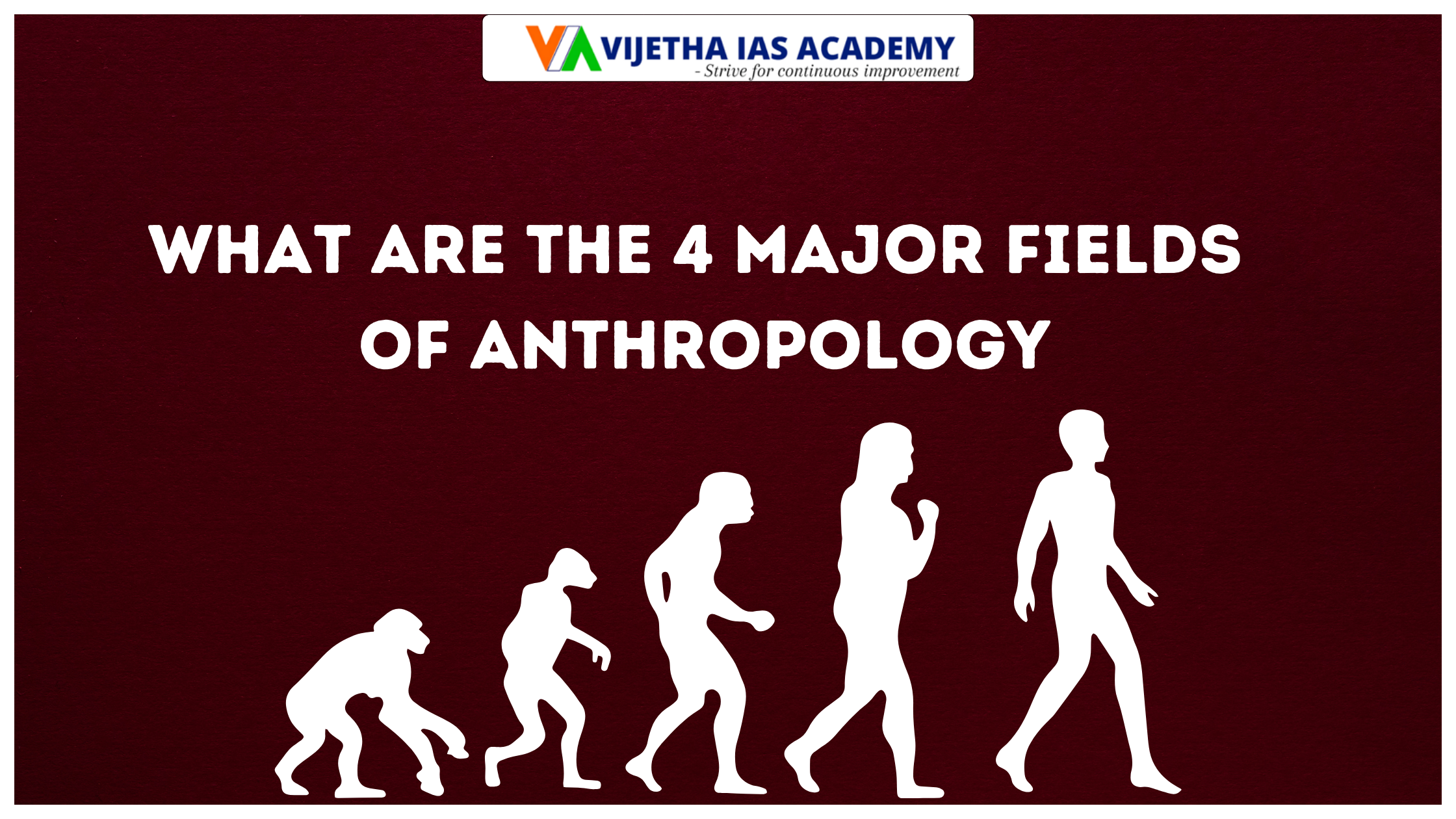 What are the 4 major fields of anthropology