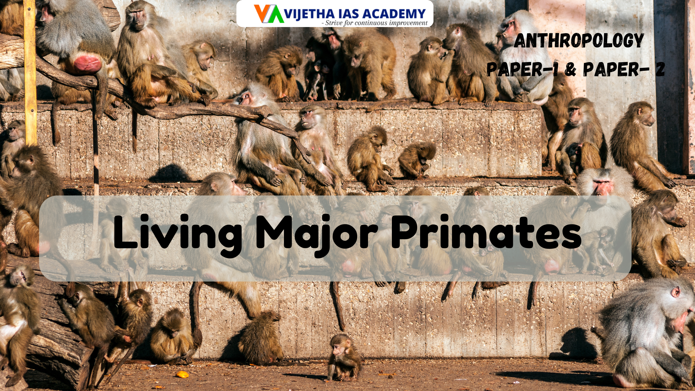 Living Major Primates? Explained for UPSC | Vijetha IAS Academy