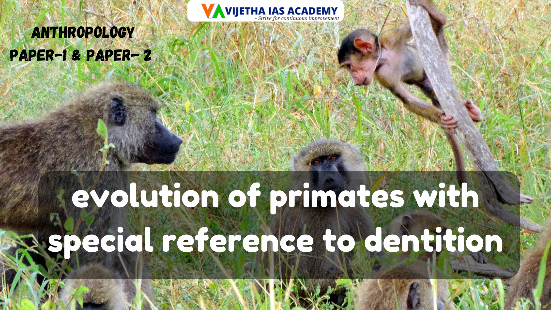 Evolution of primates with special reference to dentition? Explained for UPSC | Vijetha IAS Academy