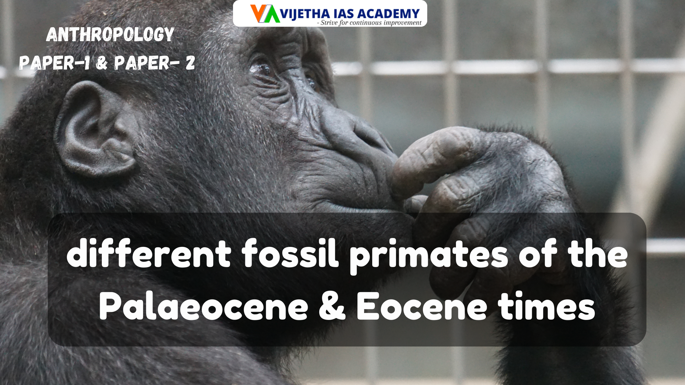Different fossil primates of the Palaeocene & Eocene times? Explained ...