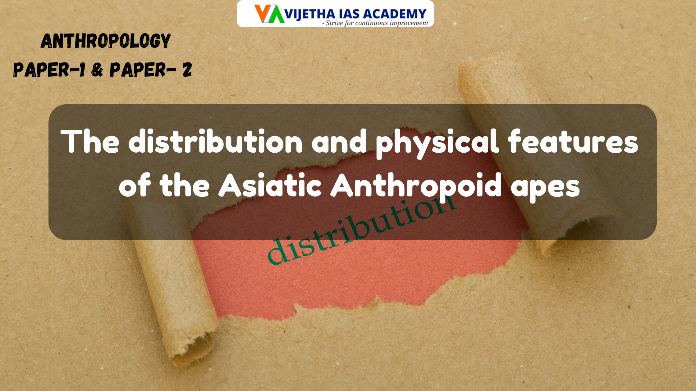 The distribution and physical features of the Asiatic Anthropoid apes? Explained for UPSC | Vijetha IAS Academy