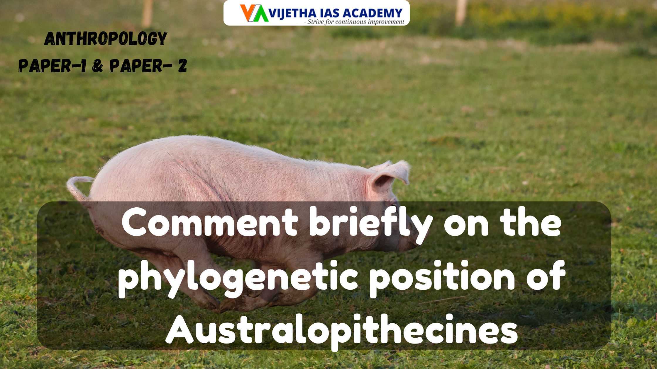 Comment briefly on the phylogenetic position of Australopithecines? Explained for UPSC | Vijetha IAS Academy