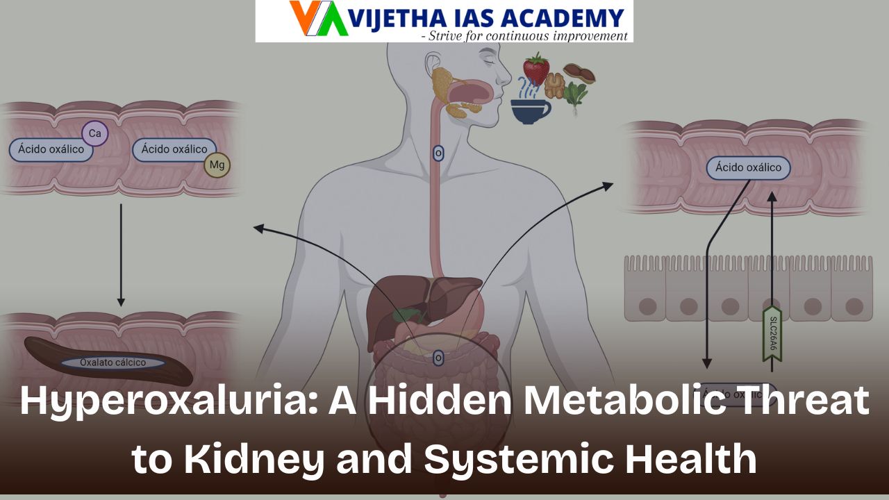 Hyperoxaluria: A Hidden Metabolic Threat to Kidney and Systemic Health