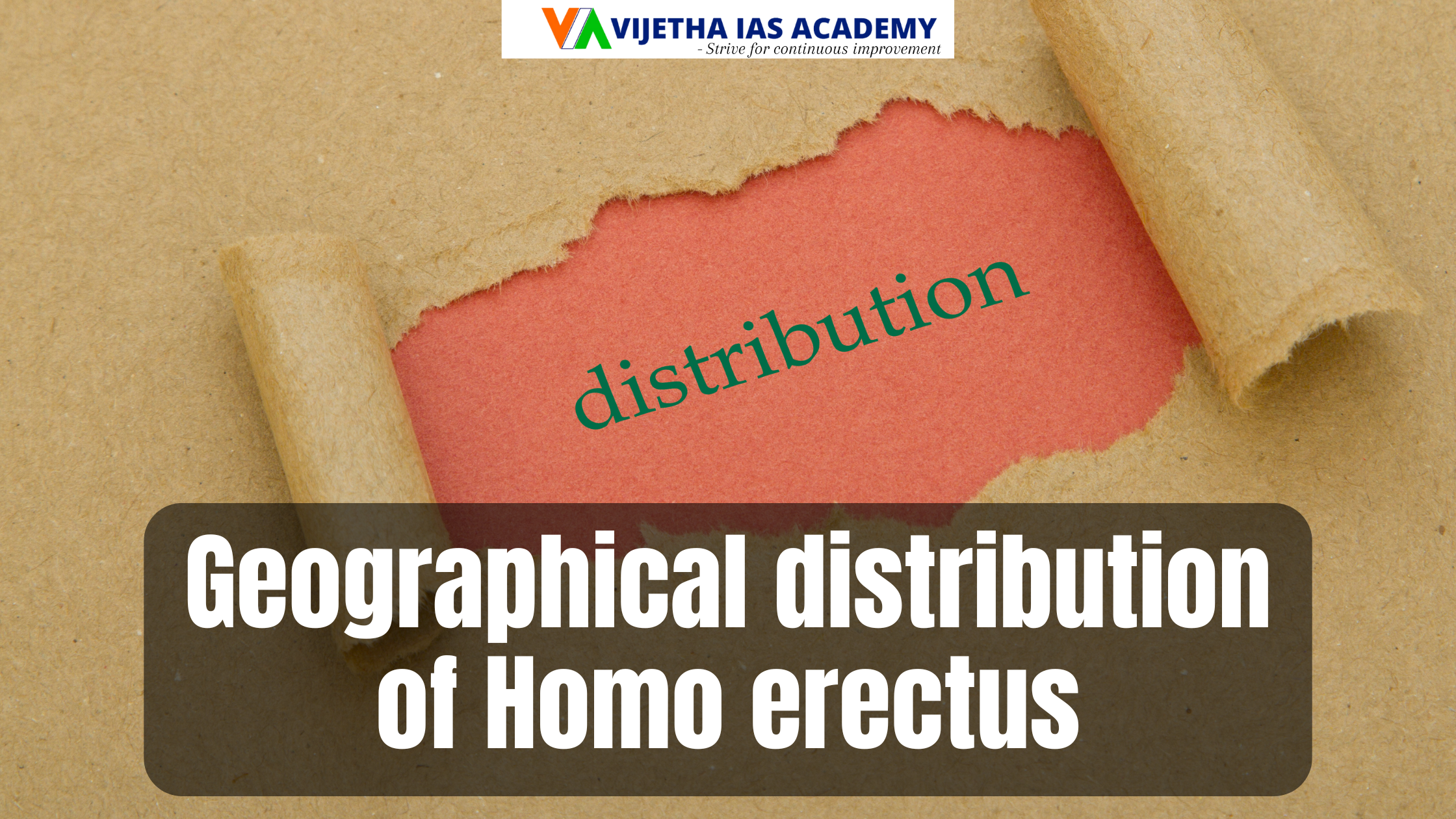 Discuss the geographical distribution of Homo erectus. Taking into account its physical features, where does it fit in human evolutionary line? Anthropology Optional Paper CSE 2024