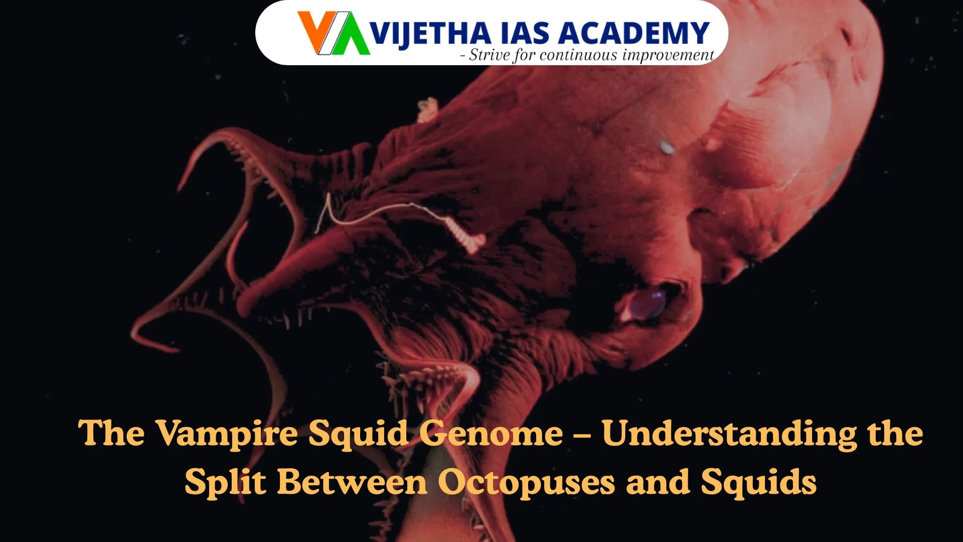 The Vampire Squid Genome – Understanding the Split Between Octopuses and Squids