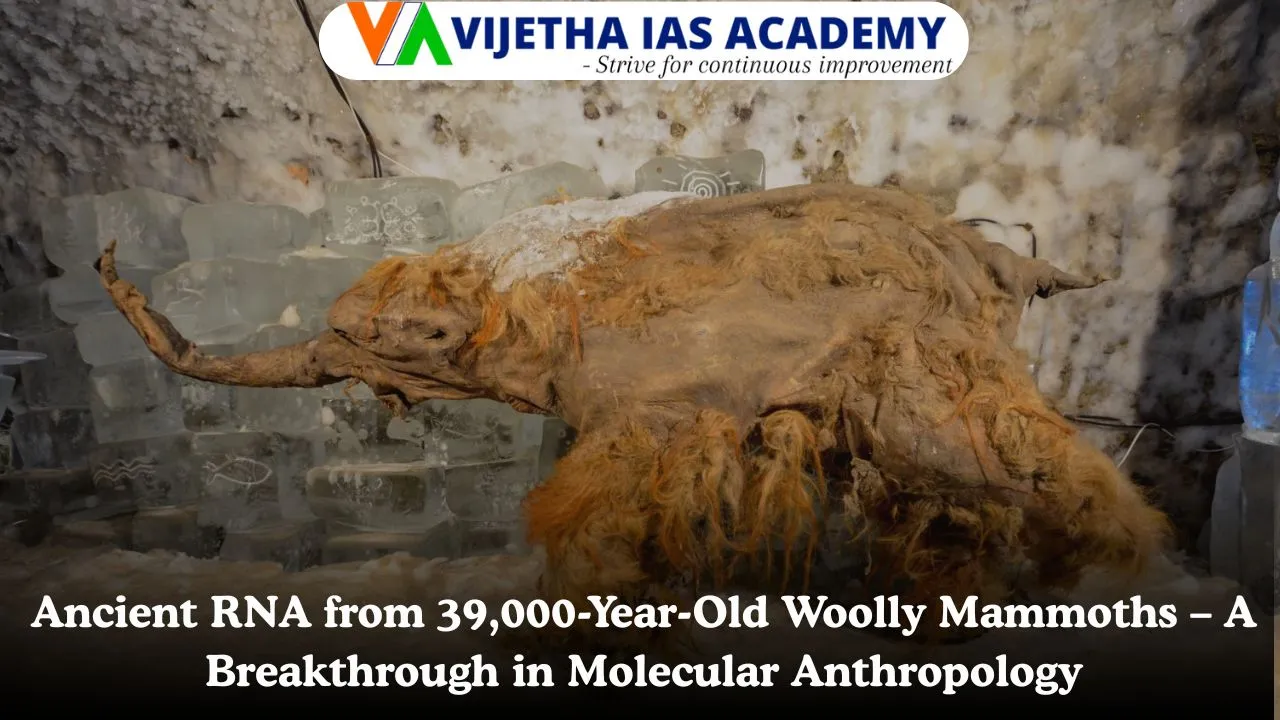 Ancient RNA from 39,000-Year-Old Woolly Mammoths – A Breakthrough in Molecular Anthropology