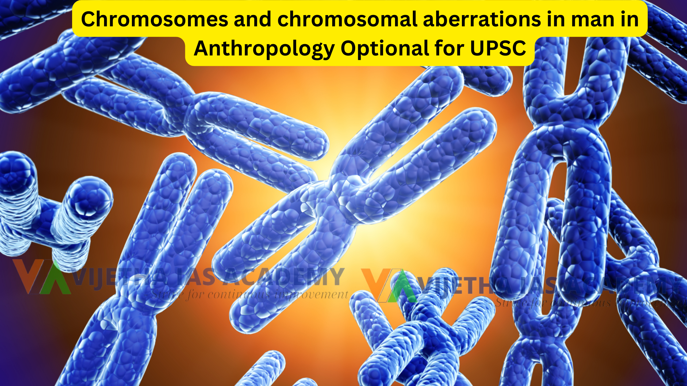 Chromosomes and chromosomal aberrations in man in Anthropology Optional for UPSC