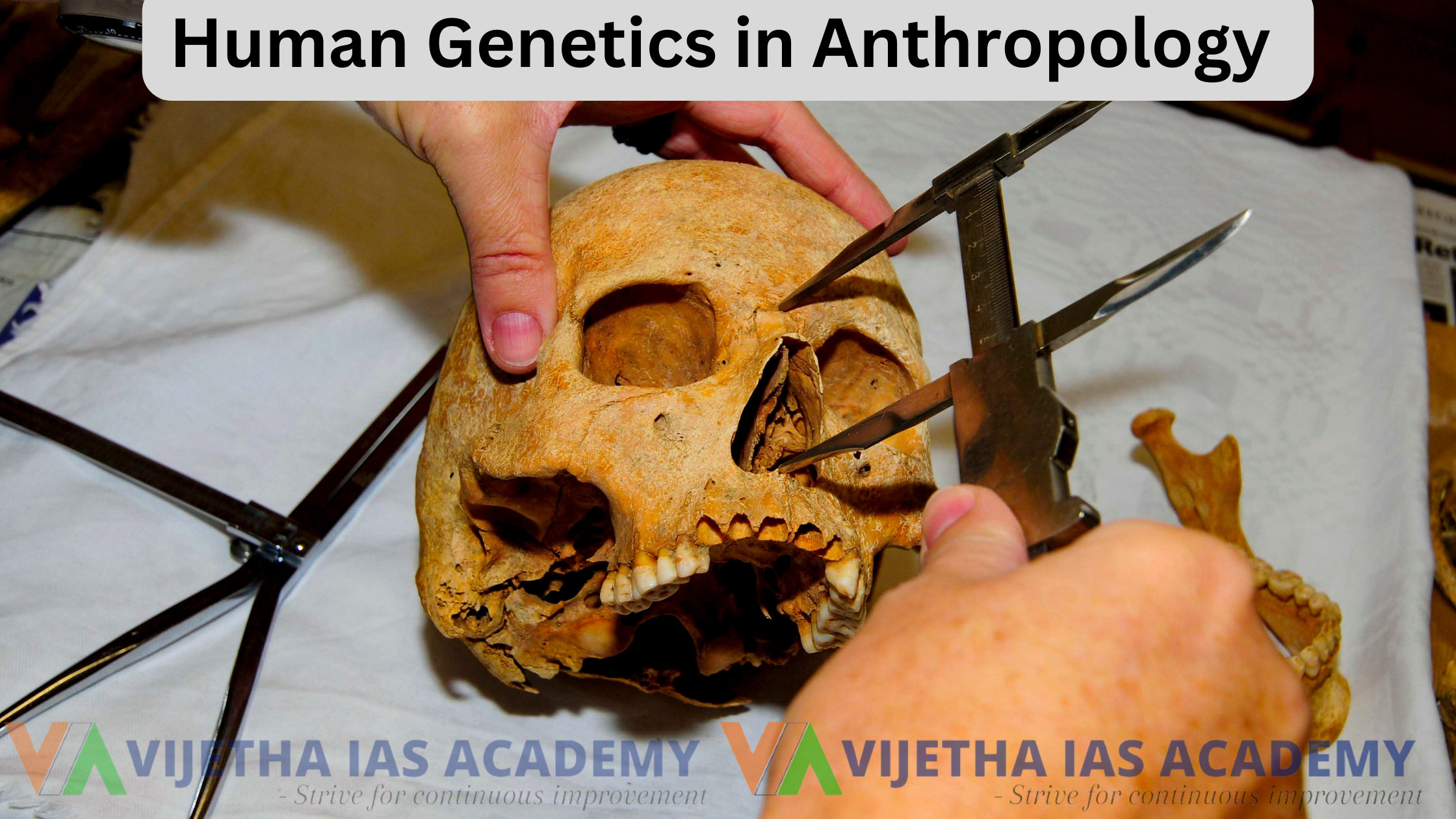 Human Genetics in Anthropology Optional for UPSC