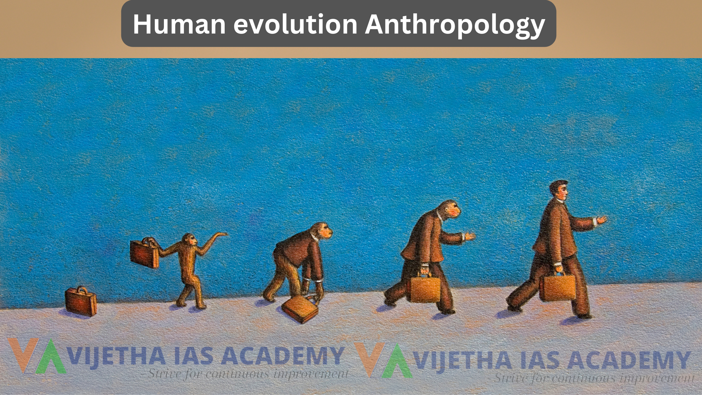 Human evolution Anthropology Optional UPSC