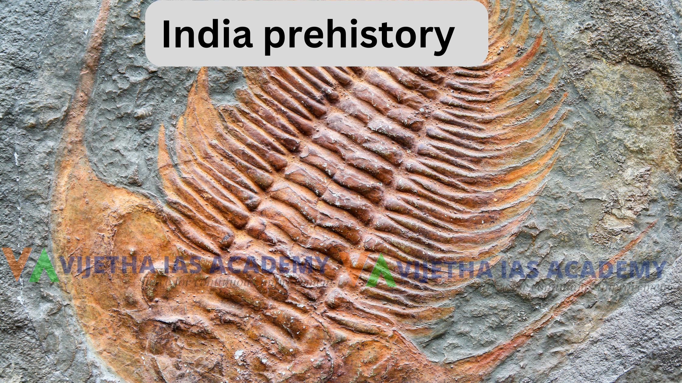 India prehistory by dk bhattacharya Anthropology Optional UPSC