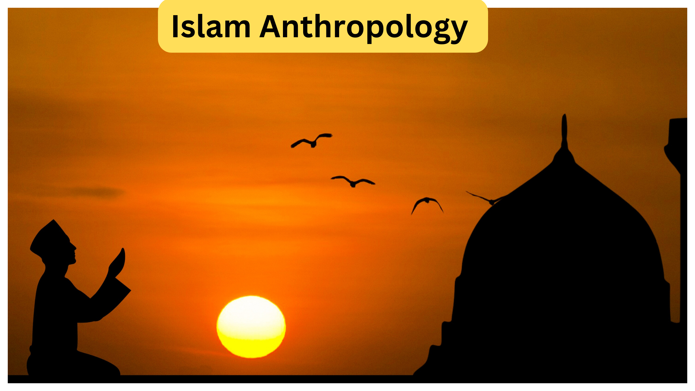 Impact of Islam Anthropology Optional UPSC