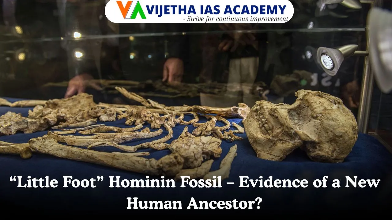 “Little Foot” Hominin Fossil – Evidence of a New Human Ancestor?