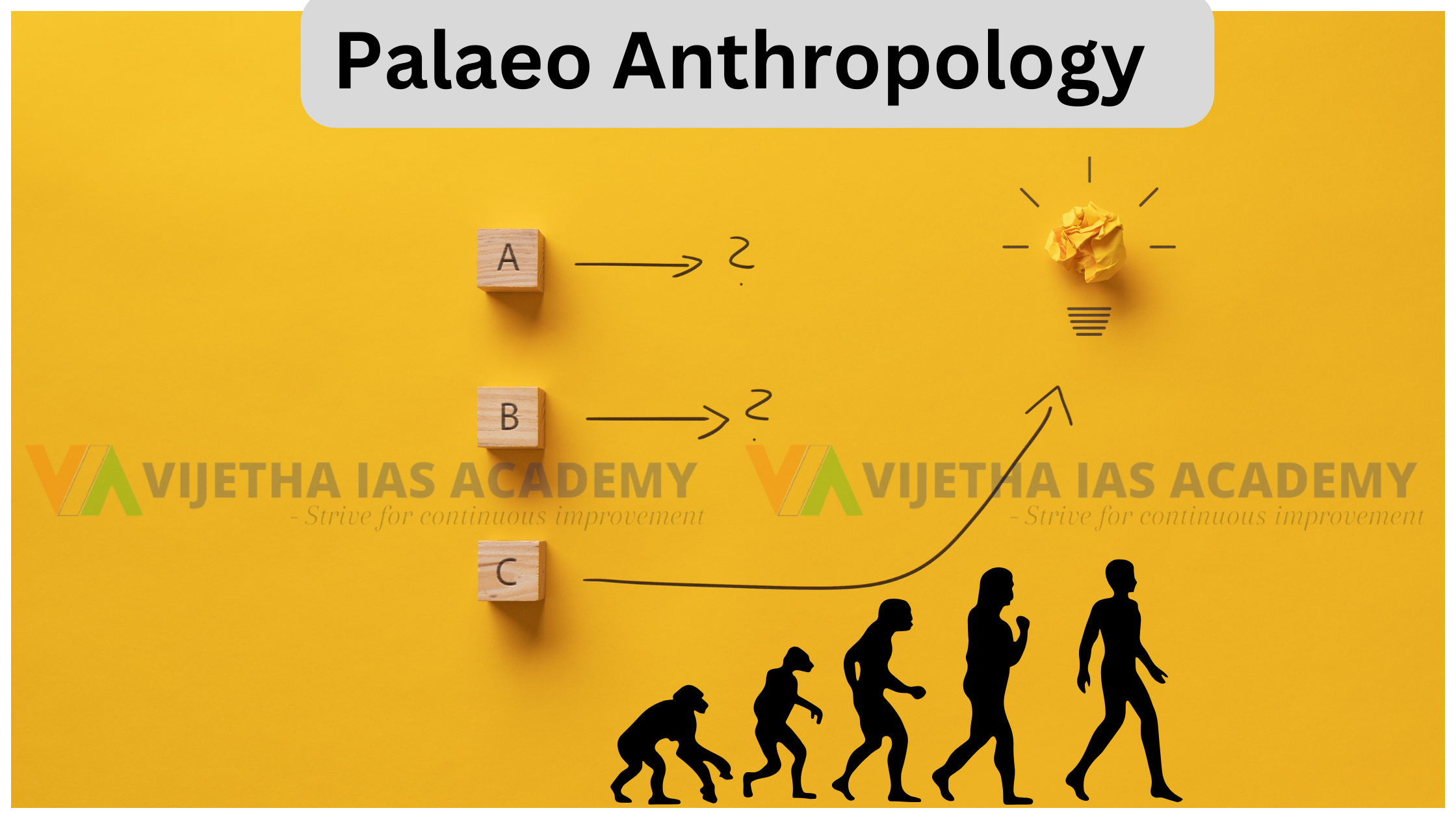 Palaeo Anthropology Optional UPSC