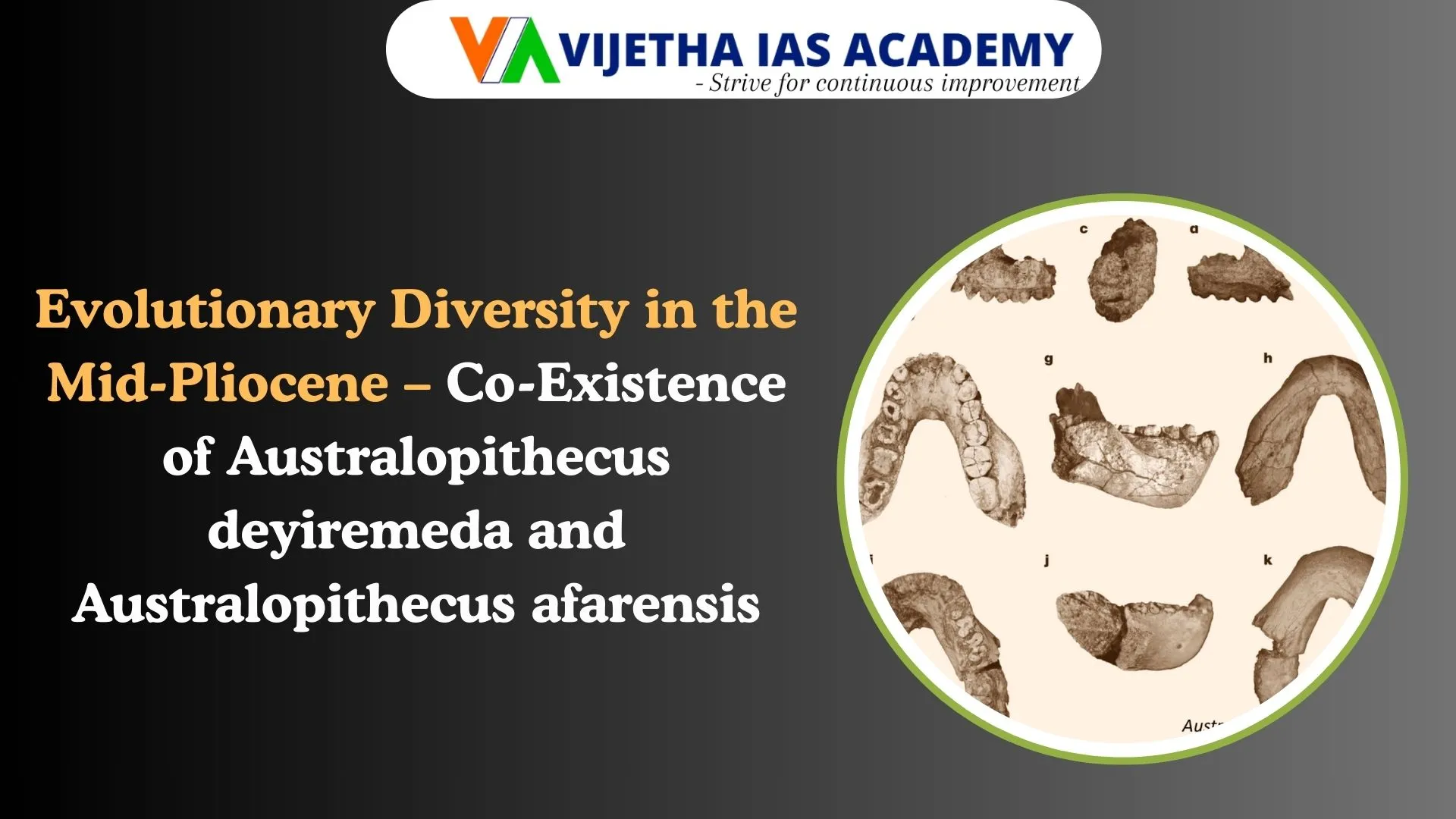 Evolutionary Diversity in the Mid-Pliocene – Co-Existence of Australopithecus deyiremeda and Australopithecus afarensis