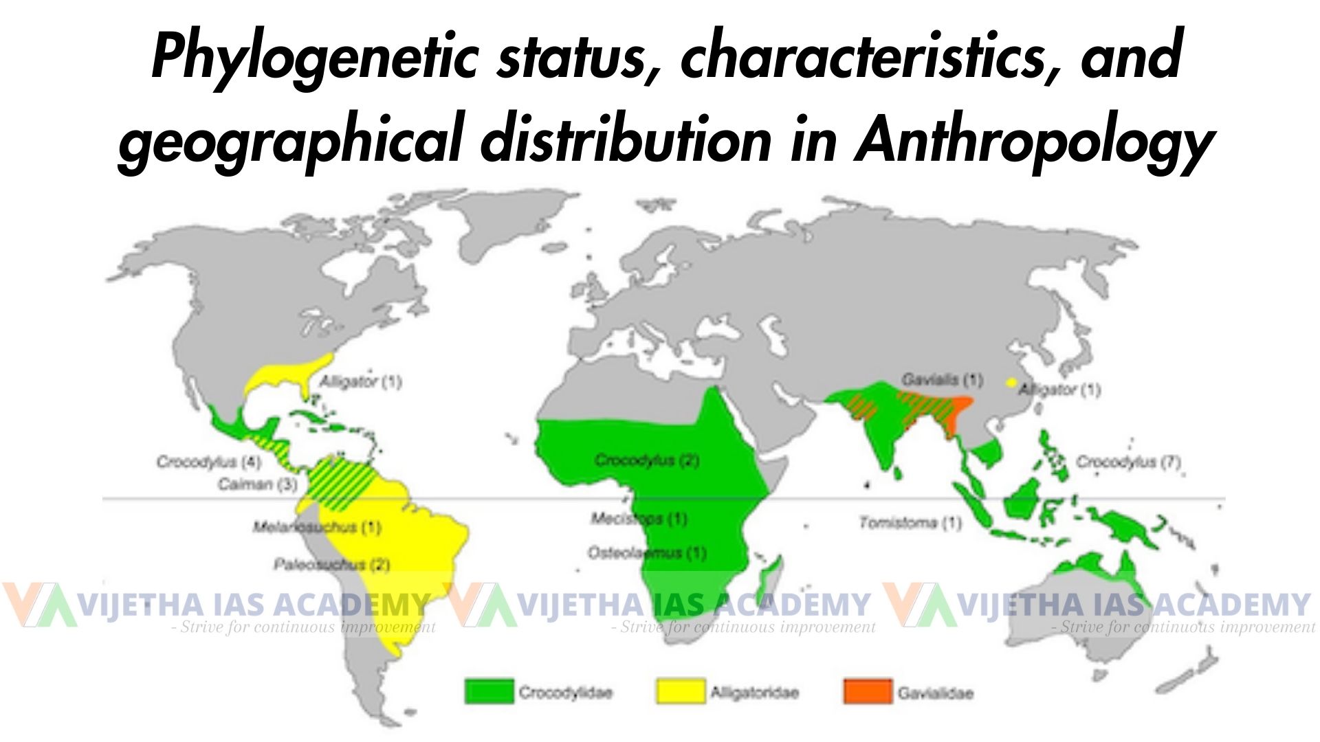 Phylogenetic status, characteristics, and geographical distribution in Anthropology in Anthropology Optional for UPSC