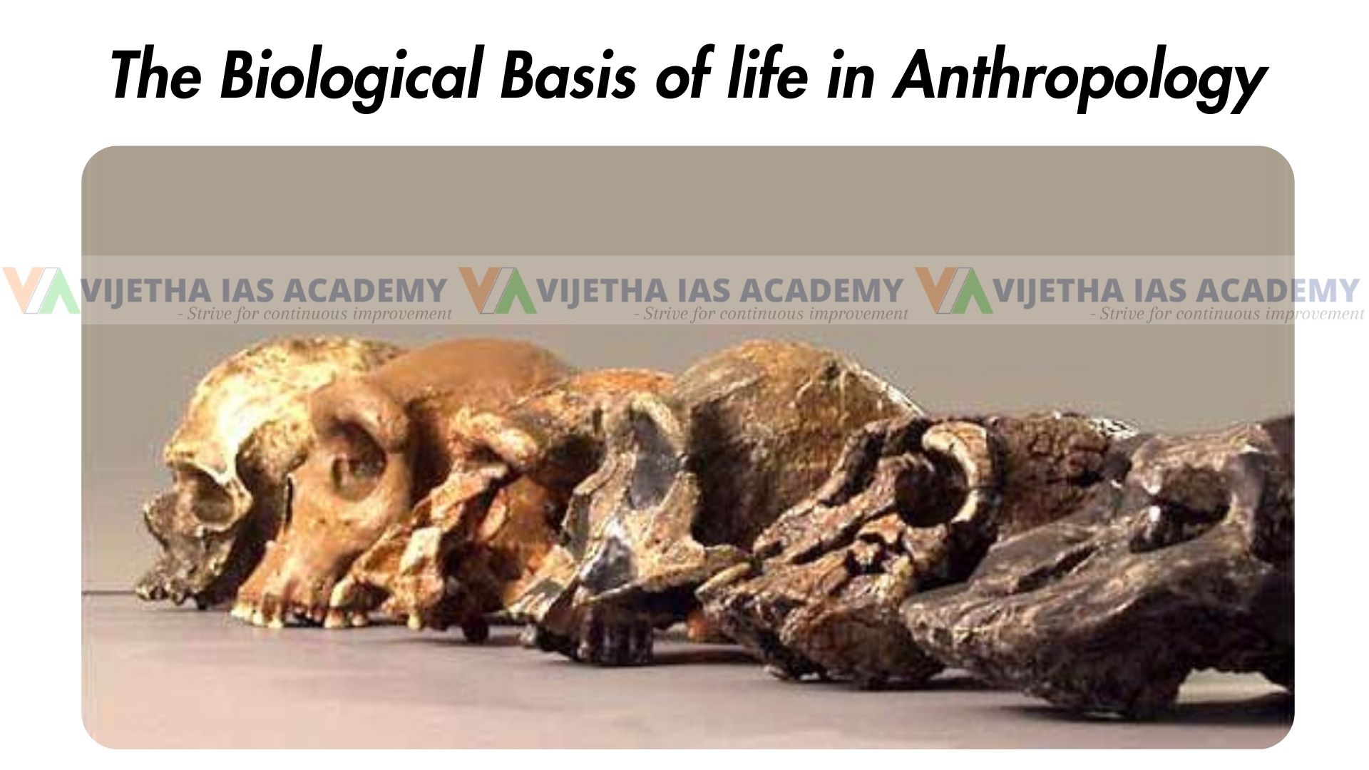 The biological basis of life in Anthropology Optional for UPSC