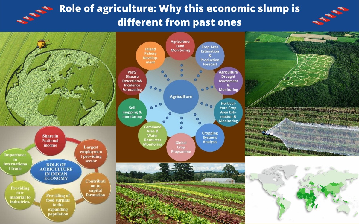 Role of agriculture: Why this economic slump is different from past ones
