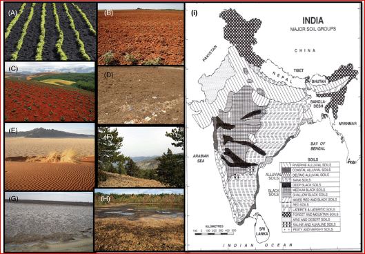 Indian Soil