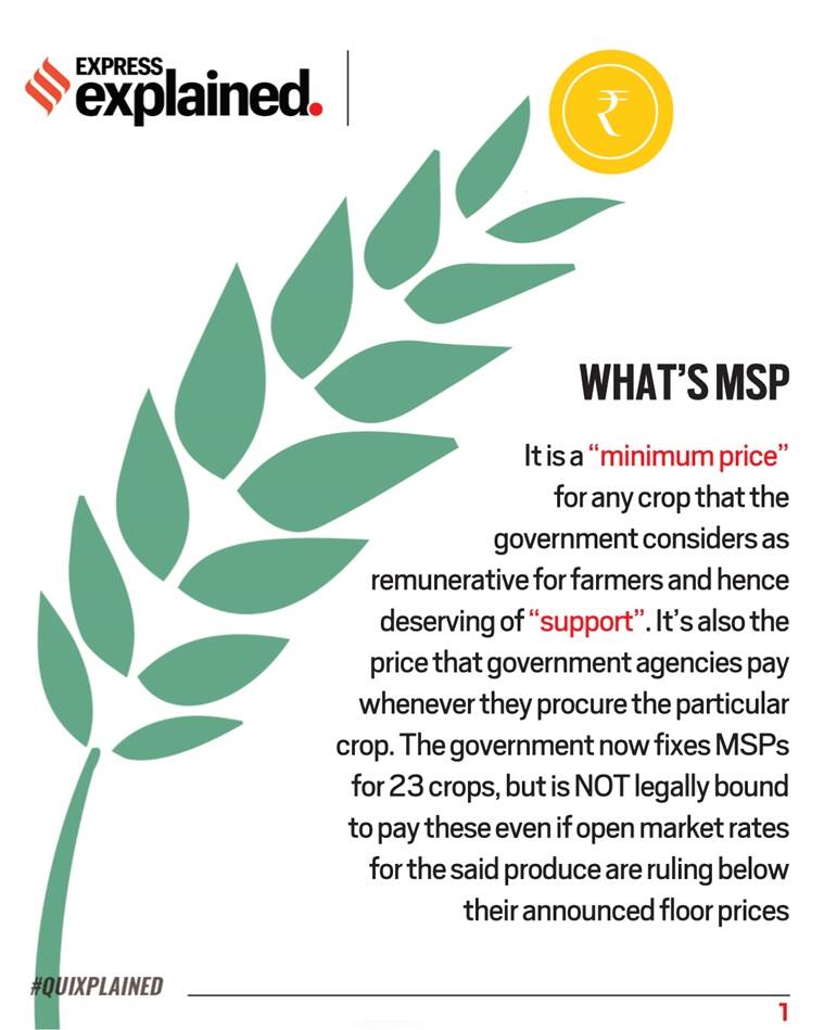 What are msps and how are they decided l2a learn to achieve