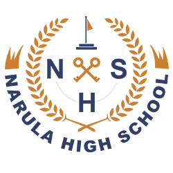 Narula High School