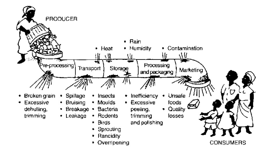 img-Storage, transport and marketing of agricultural produce in India