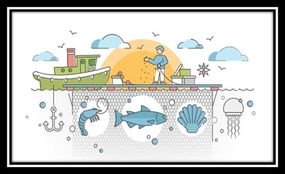 img-Aquaculture Crop Insurance