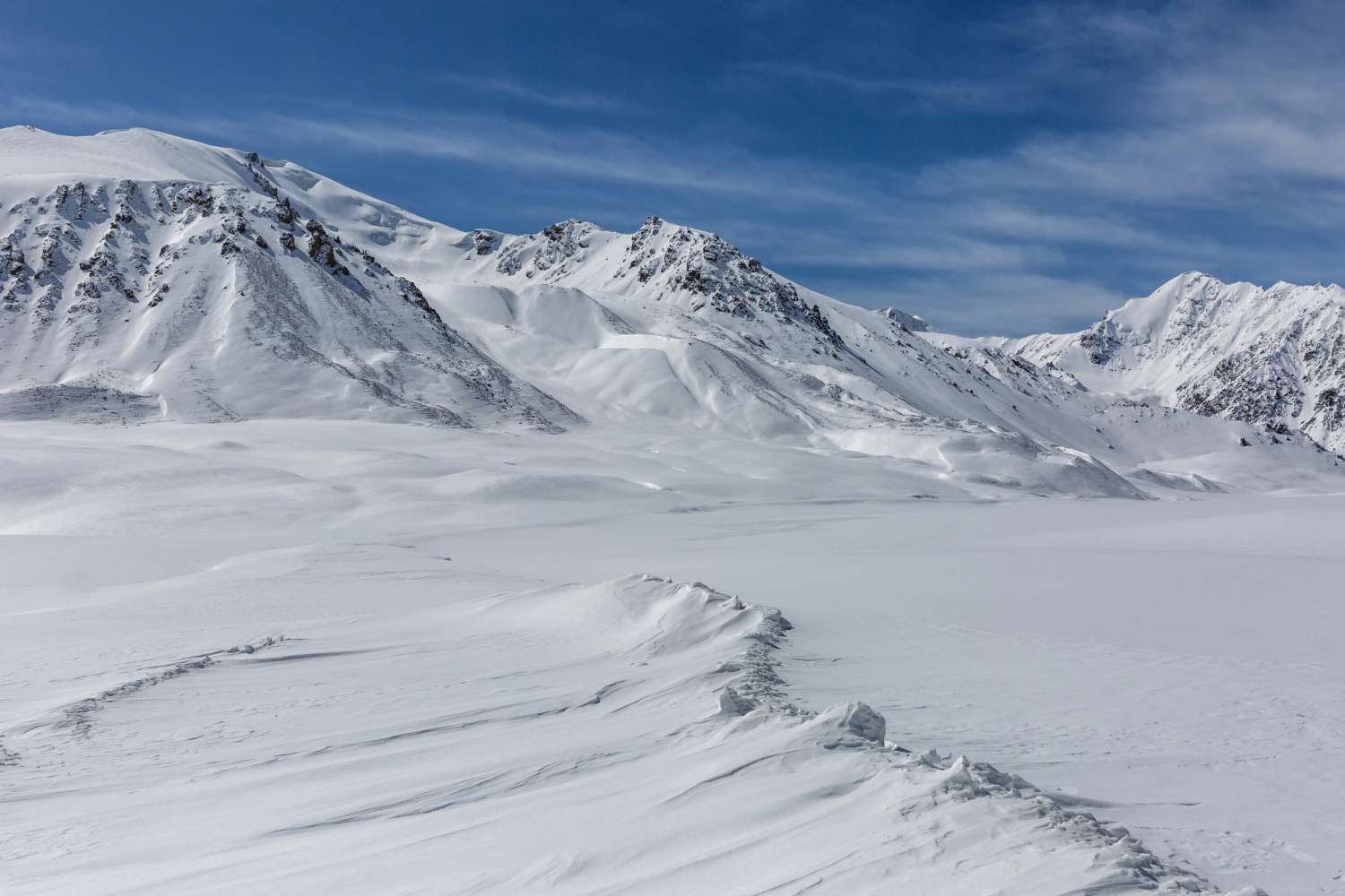 img-Arctic Tundra Biome