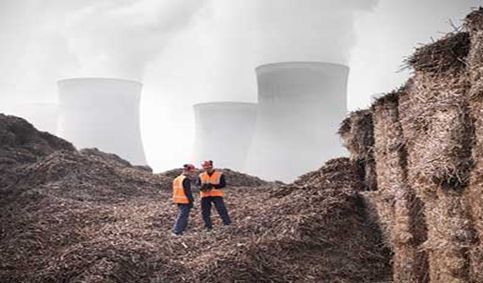 img-Biomass Co-Firing In Thermal Power Plants