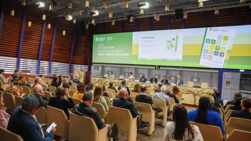 img-CGRFA-20: Global Action on Genetic Resources for Food and Forests