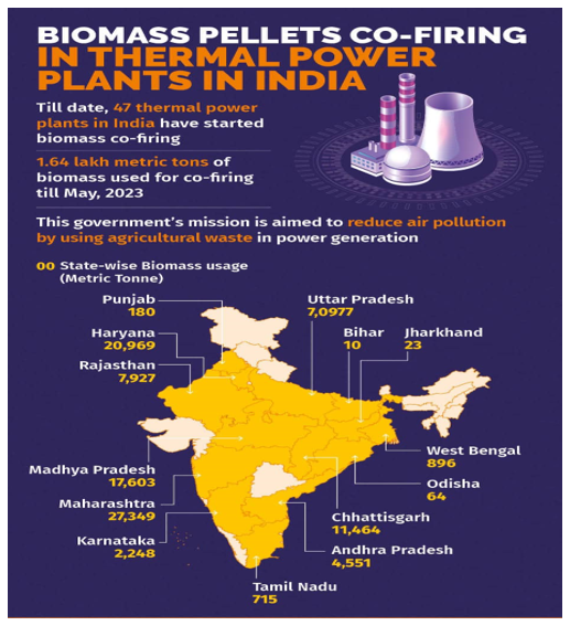 img-CO-FIRING BIOMASS PELLETS IN THERMAL POWER PLANTS