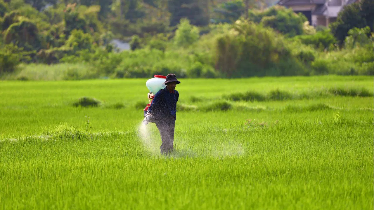 img-Cabinet Approves Nutrient Based Subsidy for Kharif 2025