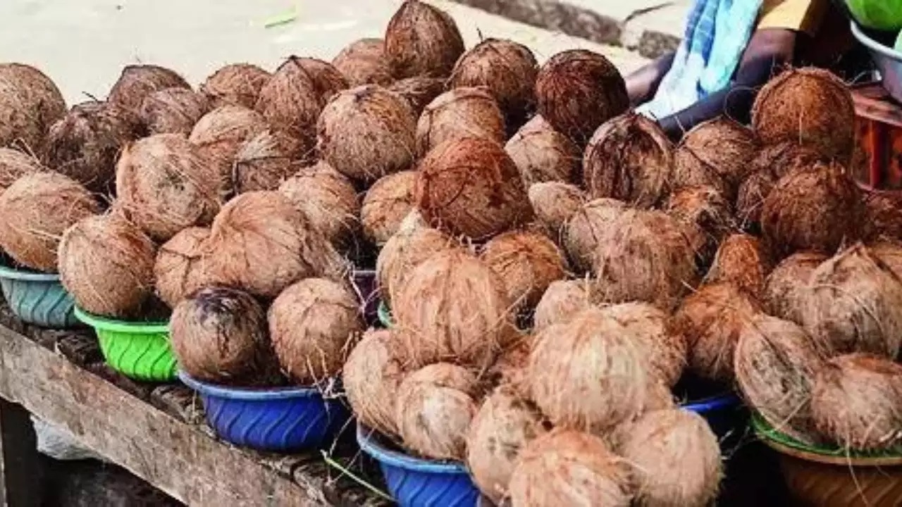 img-Is Coconut Oil an Edible Oil or a Haircare Product? Supreme Court Ruling