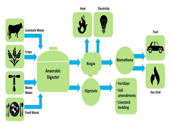 img-Report on Compressed Bio-Gas plants