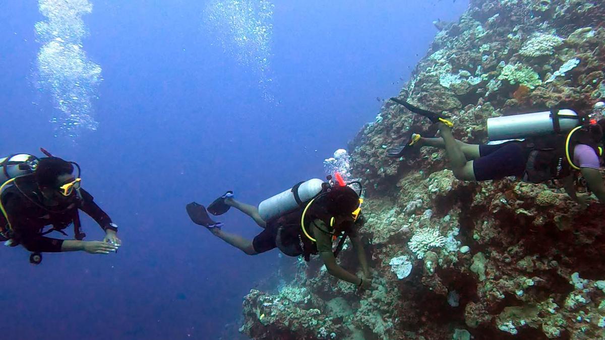 img-99.999% of Earth’s Deep Seafloor Yet To Be Observed