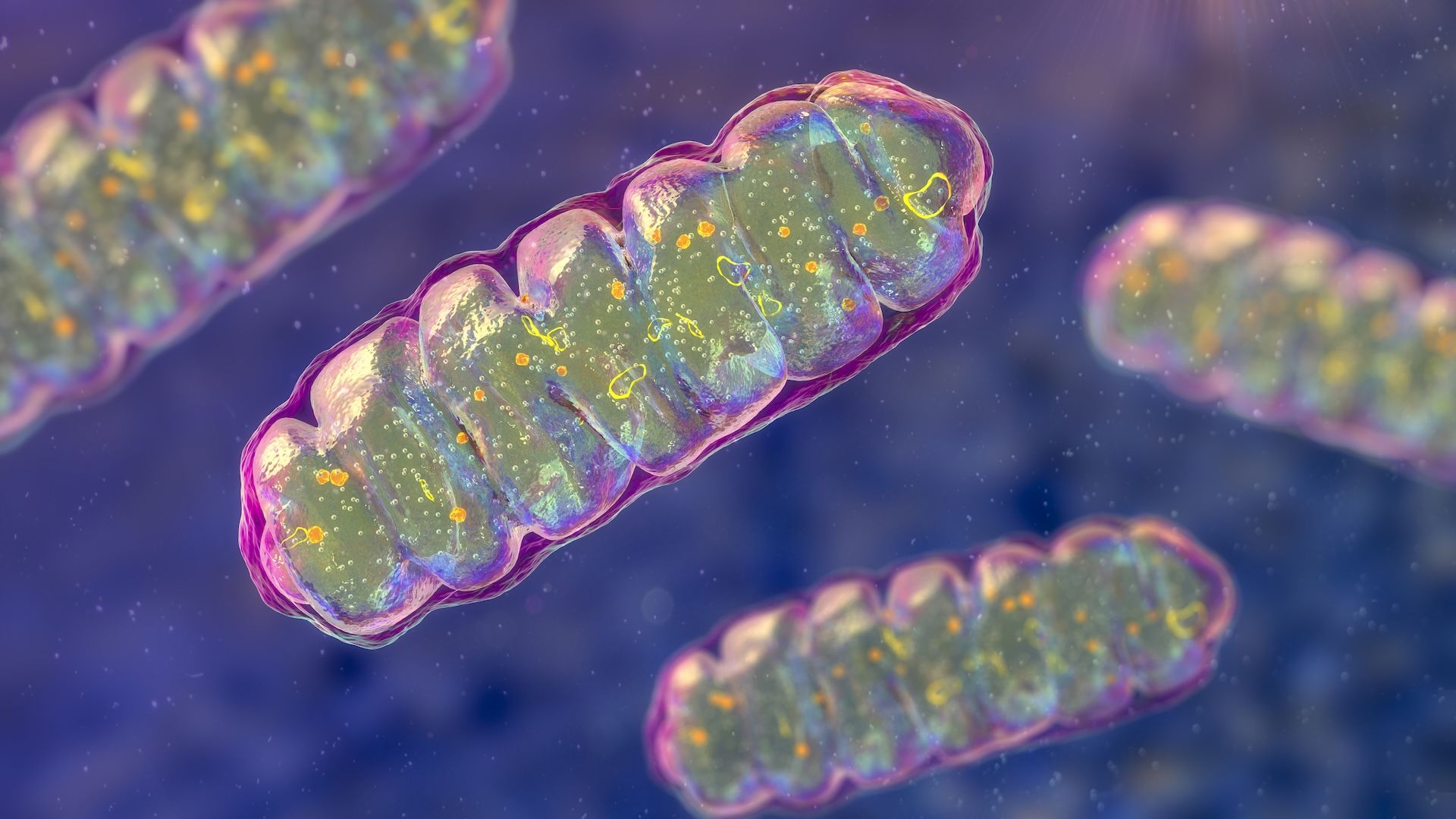 img-Discovery of Molecule That May Treat Rare Mitochondrial Diseases (2025)