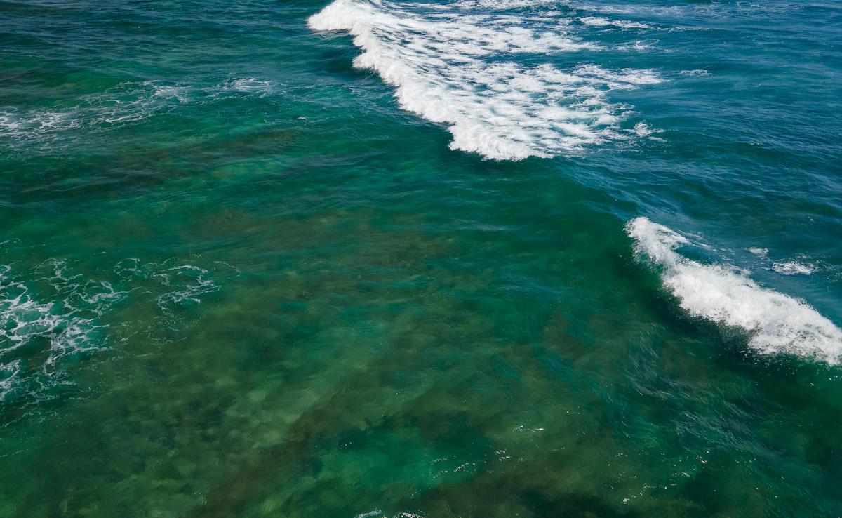 img-Earth’s Strongest Ocean Current Could Slow Down by 20% by 2050 in a High Emissions Future